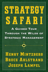 strategy_safari